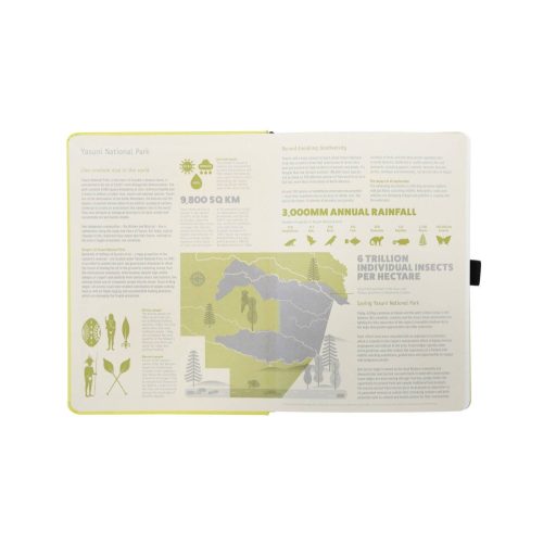 Dingbats* Earth Collection Bullet Journal pontozott notebook, A5+