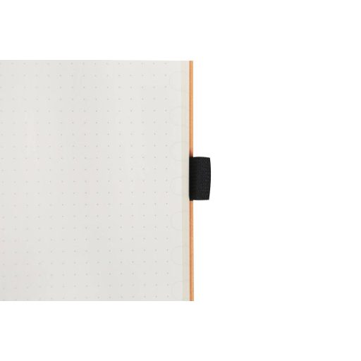 Dingbats* Earth Collection Bullet Journal pontozott notebook, A5+