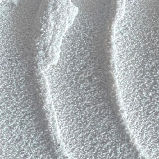 PÉBÉO Origin stucco mortar - 225 ml